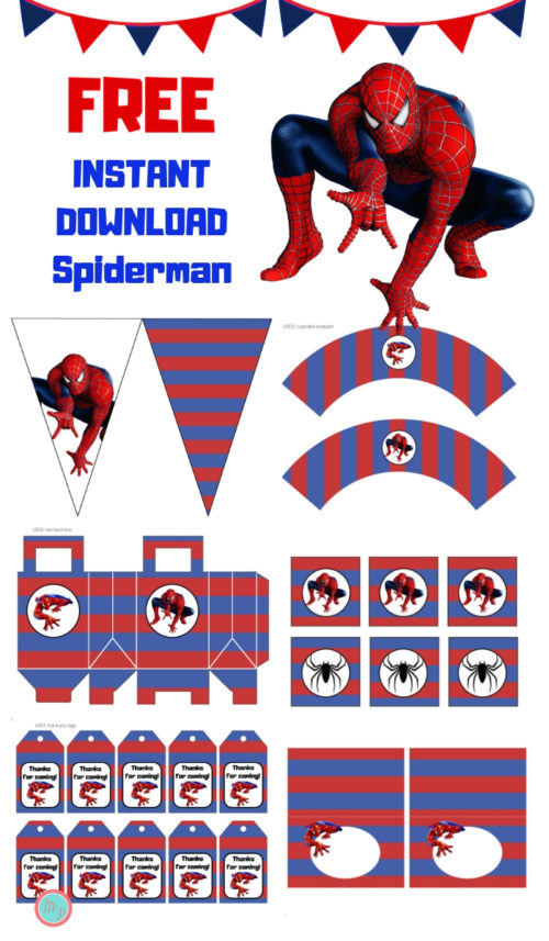 Free Spiderman Party Package Printable Magical Printable