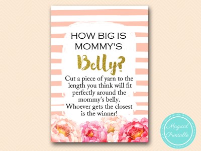 how-big-is-mommys-belly-peonies-pink-baby-shower-game-girl