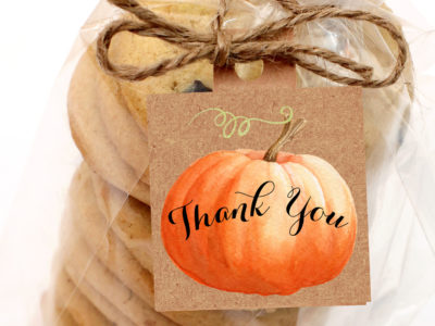 pumpkin thank you tags little pumpkin halloween kraft
