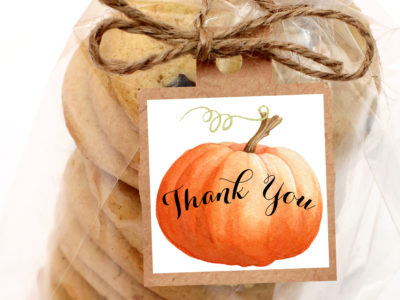 pumpkin thank you tags little pumpkin halloween white